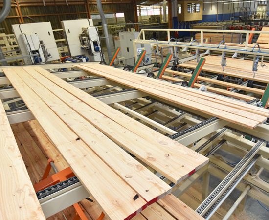 wood planks on a convener belt at a saw mill