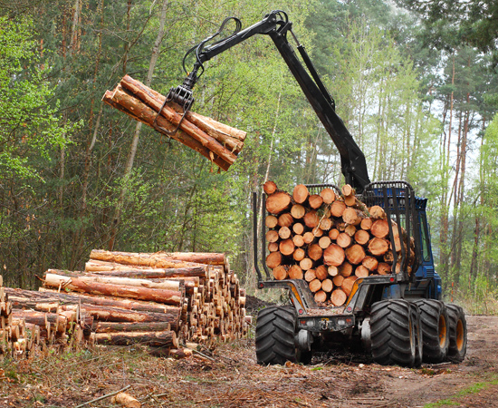 Forestry yarder grabbing timber from pile in forest